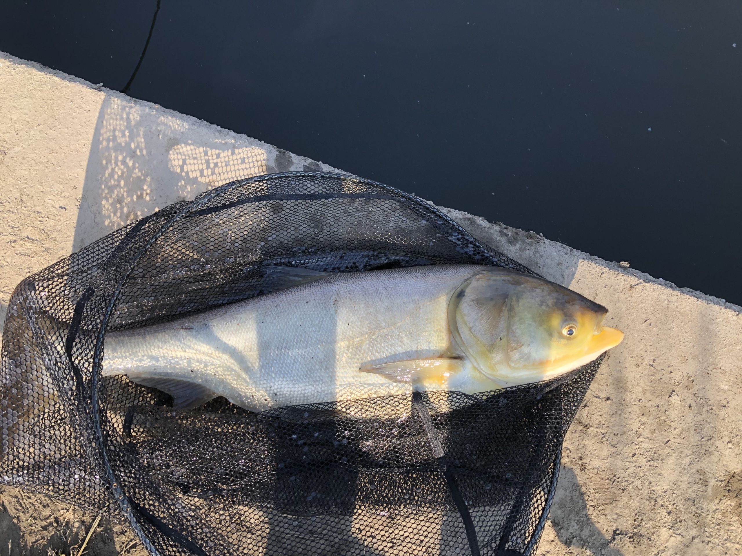 こだわりレンギョ釣り その1 タックル編 こだわりアウトドア